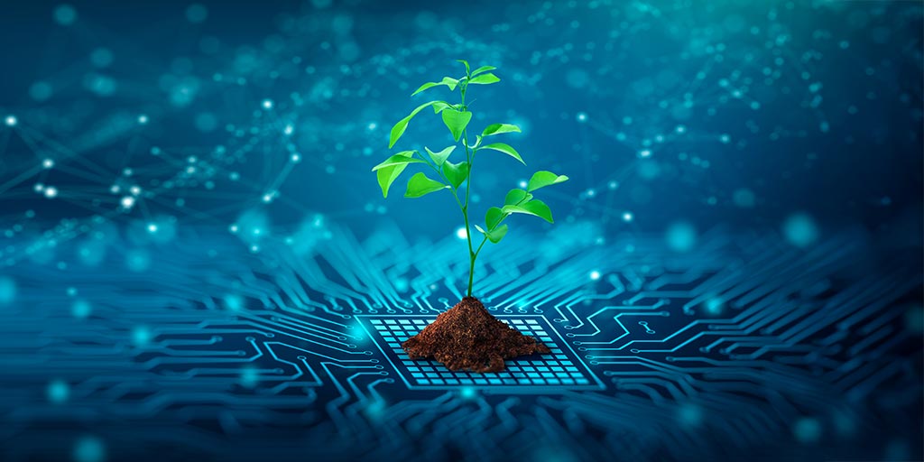 Plante poussant sur une structure numérique – symbole de fibre optique écologique et du réseau FTTH de Pully4net à Pully